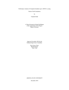 Performance Analysis of Composite Insulators up