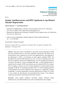 Fundus Autofluorescence and RPE Lipofuscin in Age