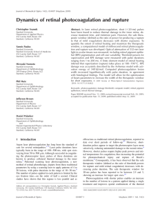 Dynamics of retinal photocoagulation and rupture