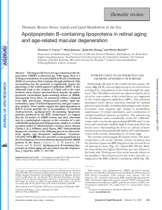 Apolipoprotein B-containing lipoproteins in retinal aging and age