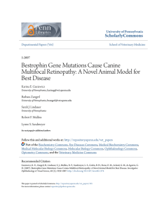 Bestrophin Gene Mutations Cause Canine Multifocal Retinopathy: A