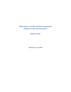White Paper on PCB and PAH Contaminated Sediment on the