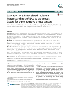 Evaluation of BRCA1-related molecular features and
