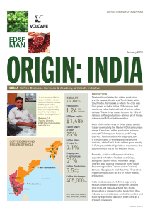 Origin - India - Volcafe Specialty