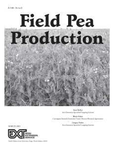 Field Pea Production - Agriculture Research
