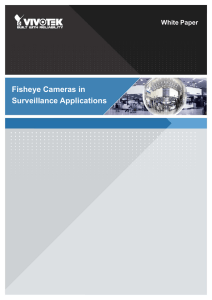 Fisheye Cameras in Surveillance Applications