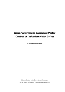 High Performance Sensorless Vector Control of Induction Motor Drives
