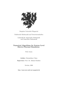 Numerical Algorithms for System Level Electro