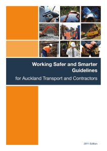 Working Safer and Smarter Guidelines