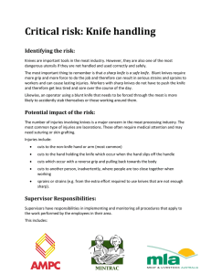 Critical risk: Knife handling
