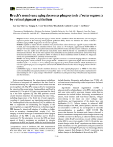 PDF - Molecular Vision