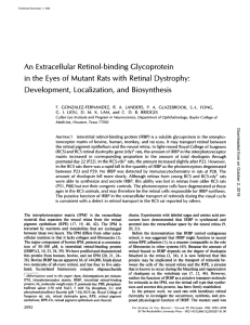 An Extracellular Retinol-binding Glycoprotein in the Eyes of Mutant