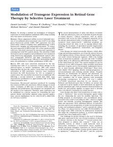 Modulation of Transgene Expression in Retinal Gene Therapy by