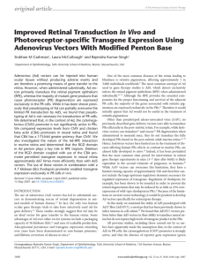 Improved Retinal Transduction In Vivo and Photoreceptor