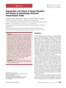 Regeneration and control of human fibroblast cell density by
