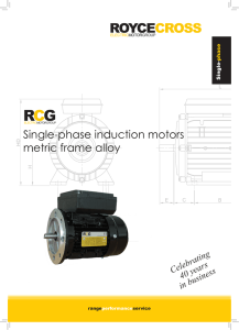 Single-phase induction motors metric frame alloy