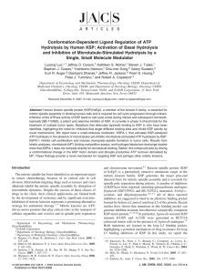 Conformation-Dependent Ligand Regulation of ATP Hydrolysis by