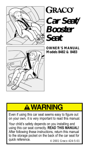 Car Seat/ Booster Seat