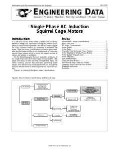 Single phase AC induction squirrel cage motors