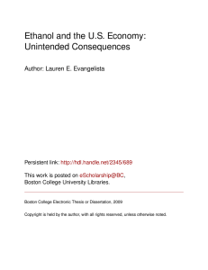 Ethanol and the US Economy: Unintended