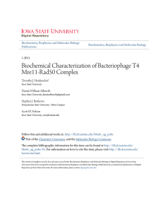 Biochemical Characterization of Bacteriophage T4 Mre11