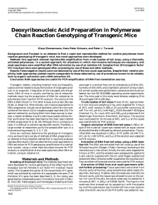 Deoxyribonucleic Acid Preparation in Polymerase