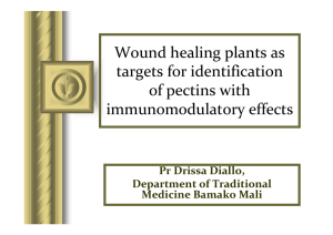 Wound healing plants as targets for identification of pectins with