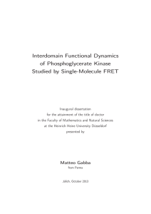 Interdomain Functional Dynamics of Phosphoglycerate Kinase
