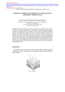 Numerical modeling of biological tissue heating. Admissible thermal