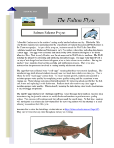 The Fulton Flyer