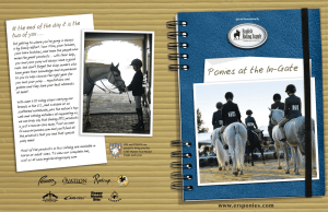 Pony_brochure_revised 09