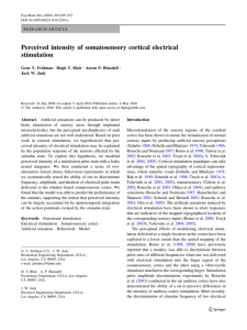 Perceived intensity of somatosensory cortical electrical stimulation