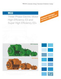 WEG W22 Technical Catalogue