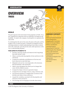 Module Overview PDF
