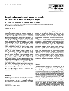 Length and moment arm of human leg muscles as a function of knee