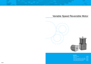 Variable Speed Reversible Motor