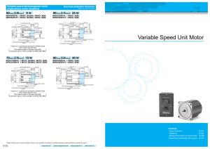 Variable Speed Unit Motor