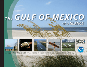 at a GLANCE - Gulf of Mexico Alliance