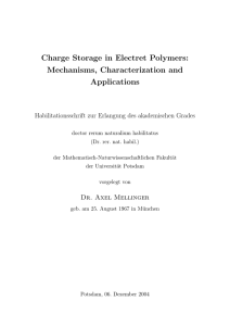 Charge Storage in Electret Polymers: Mechanisms