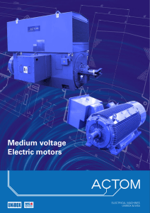 Medium voltage Electric motors