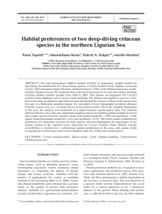 Habitat preferences of two deep-diving cetacean species in the