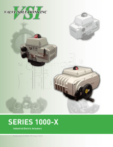 VSI-Series1000-X Data Sheet
