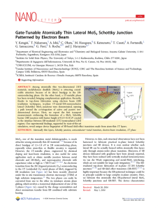 Gate-Tunable Atomically Thin Lateral MoS2 Schottky Junction