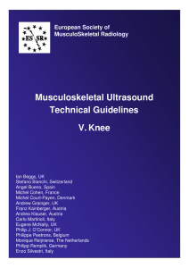 Musculoskeletal Ultrasound Technical Guidelines V. Knee