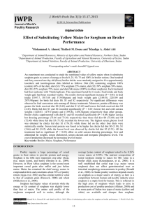 Effect of substituting yellow maize for sorghum on broiler