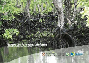 Mangroves for coastal defence. Guidelines for coastal managers