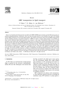 ABC transporters in lipid transport