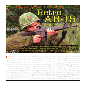 Retro AR-15