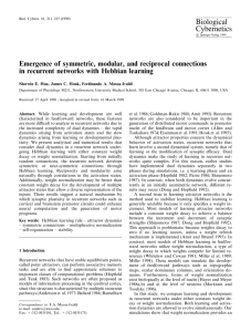 Emergence of symmetric, modular, and reciprocal connections in