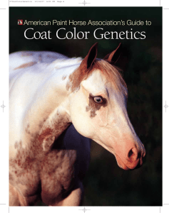 APHA Color Guide - Press